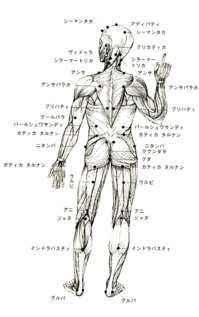 マルマポイント