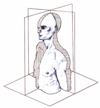 sisei.gif